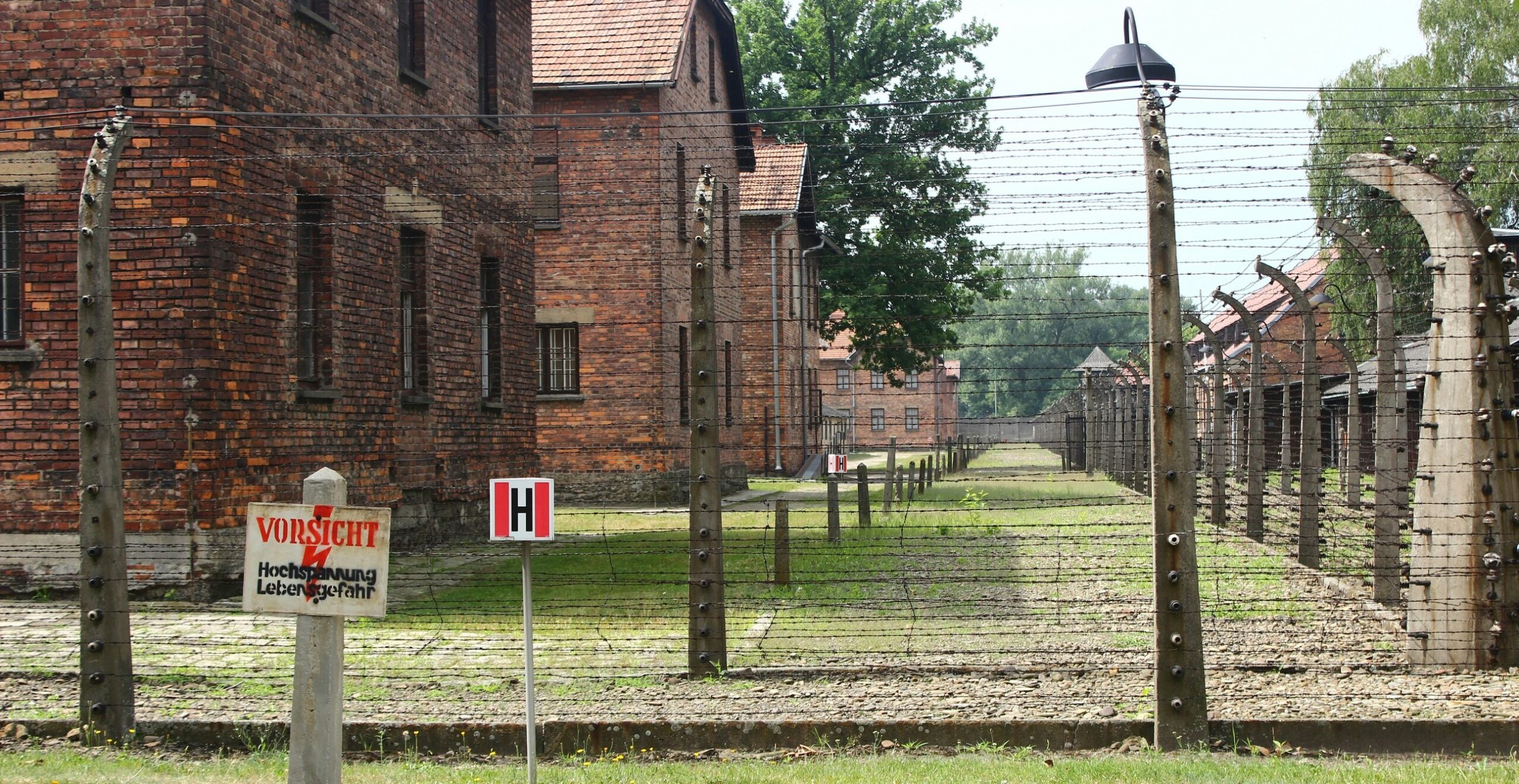 Facebook apologises for flagging Auschwitz Museum’s posts as violating...