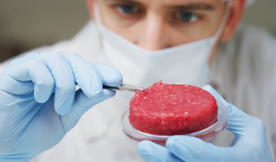 Poland’s first lab-grown meat firm gets state grant