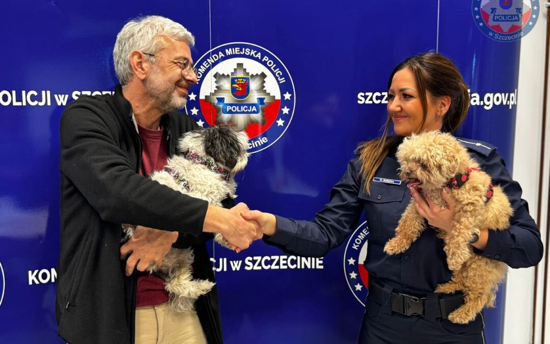 Swiss man reunited with kidnapped dogs in Poland after international police operation