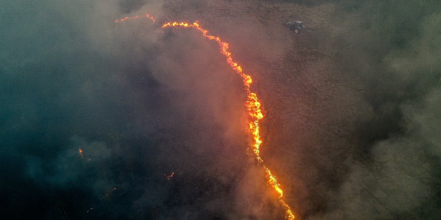 Tusk kündigt harte Strafen für Brandstifter nach Waldbrand in Polens ...