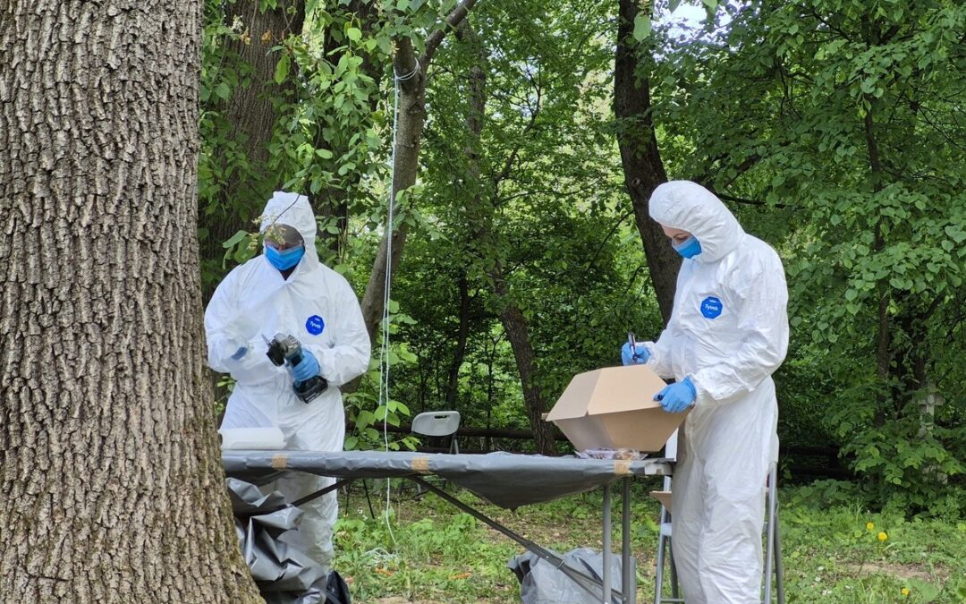 Exhumation of Polish WWII massacre victims in Ukraine uncovers remains of 42 people