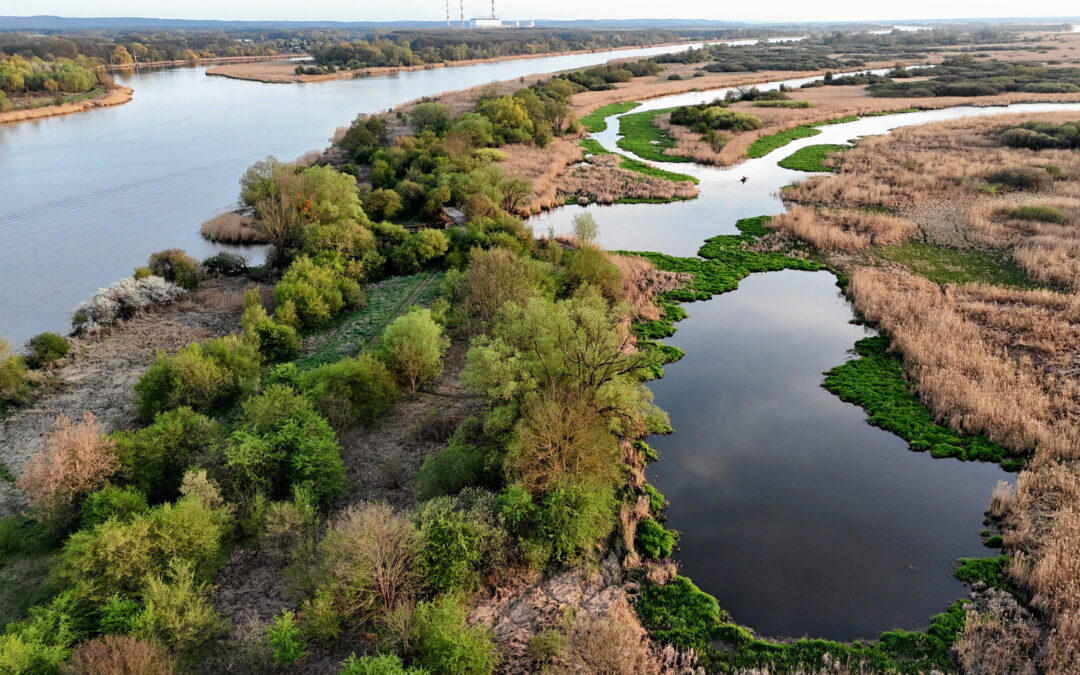 Plans to create Poland’s first new national park in 24 years move ahead after regional approval