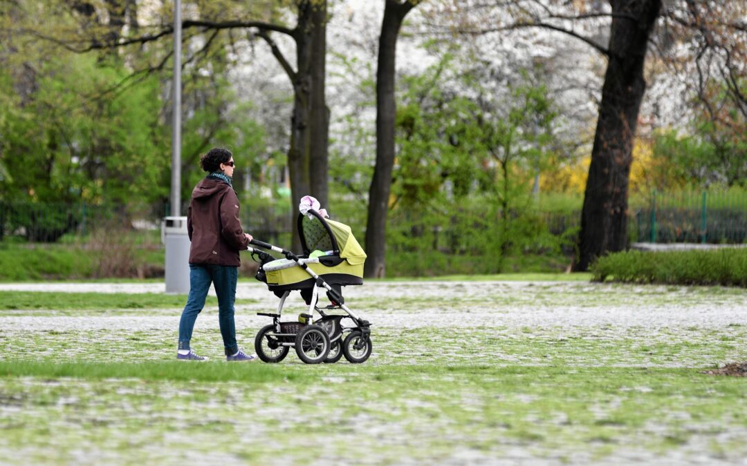 Poland’s fertility rate fell to new low in 2024
