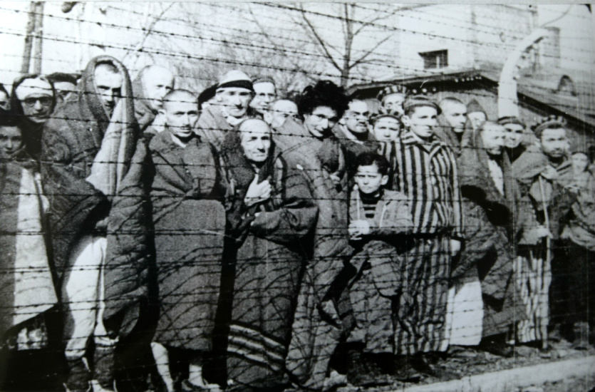 Auschwitz Museum criticises Musk’s AI for adding dreadlocks to Holocaust victim