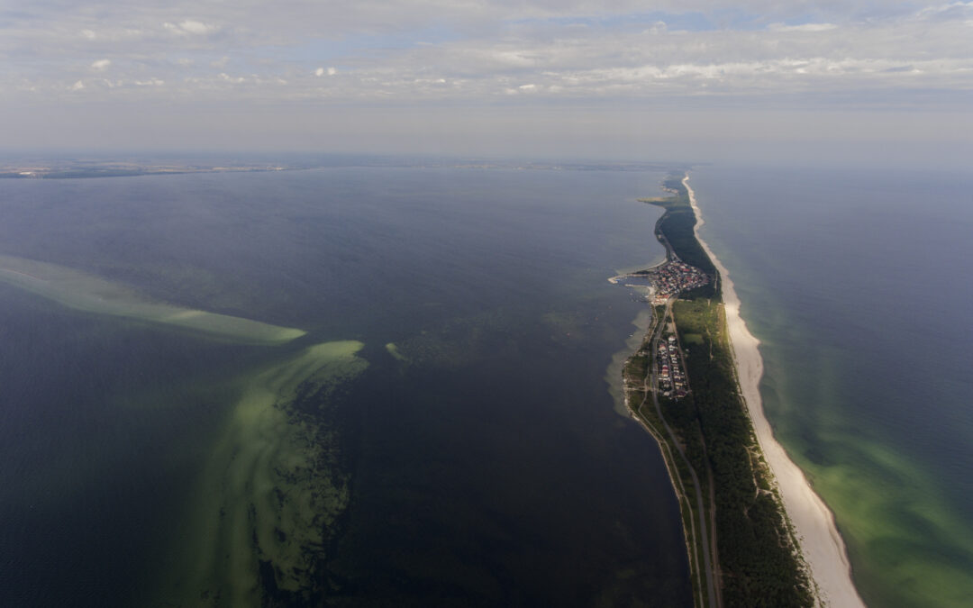 Polish divers discover 18th-century shipwrecks in Baltic Sea
