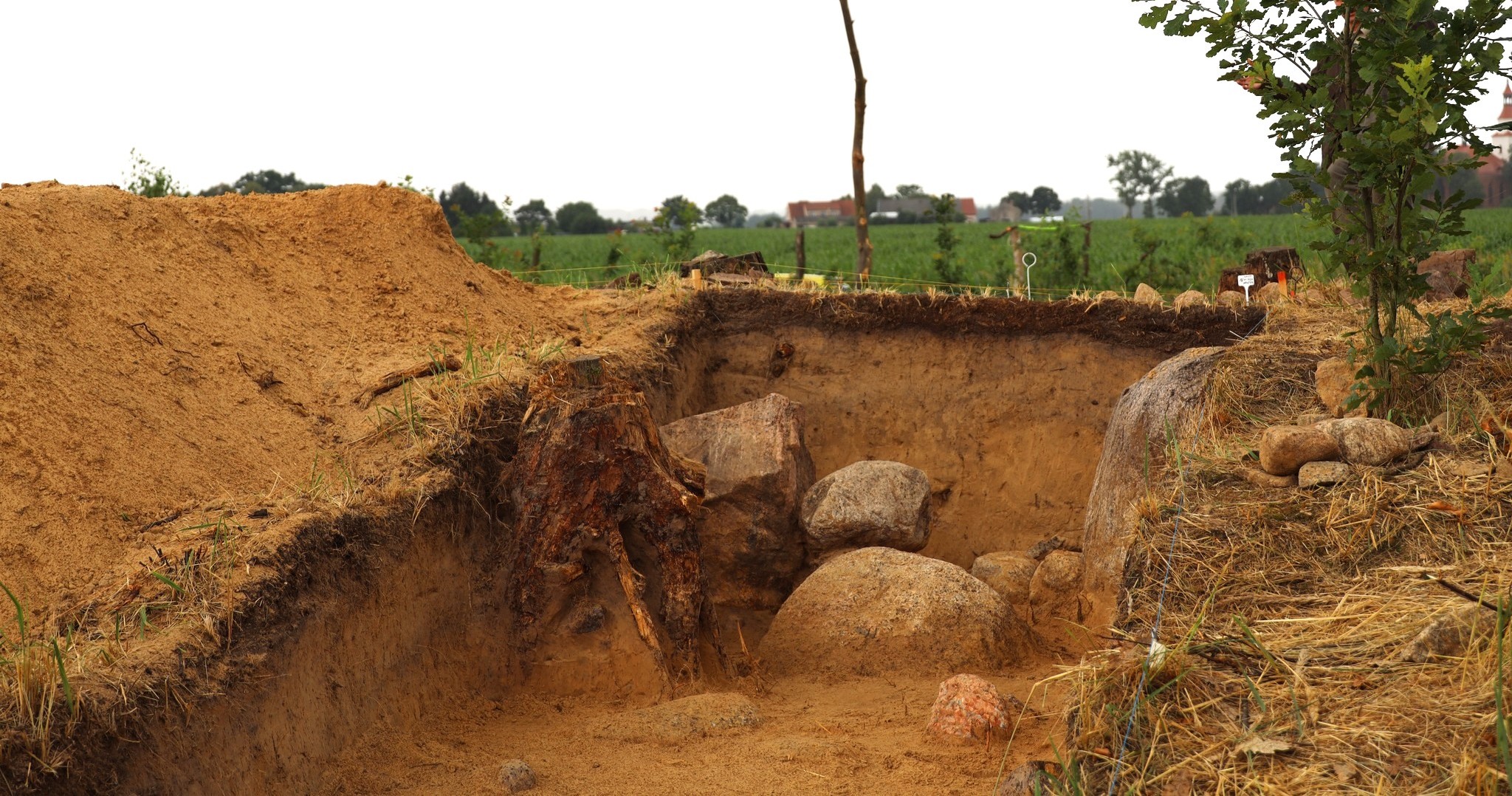 Ancient “pyramids” discovered in Poland, containing 5,500-year-old tombs