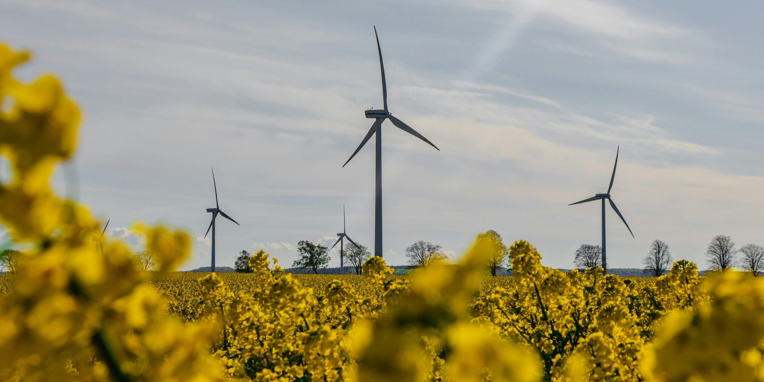 Poland’s new president vetoes bill loosening wind turbine law, freezing energy prices