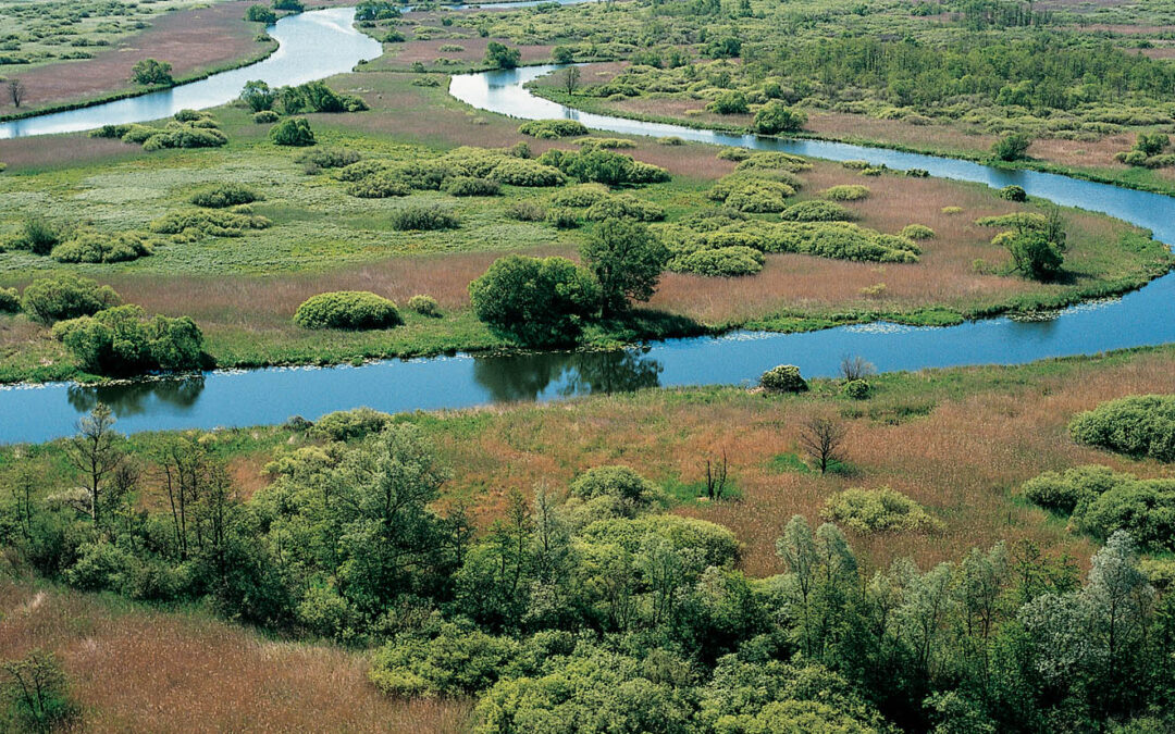 Parliament approves creation of Poland’s first new national park in 24 years