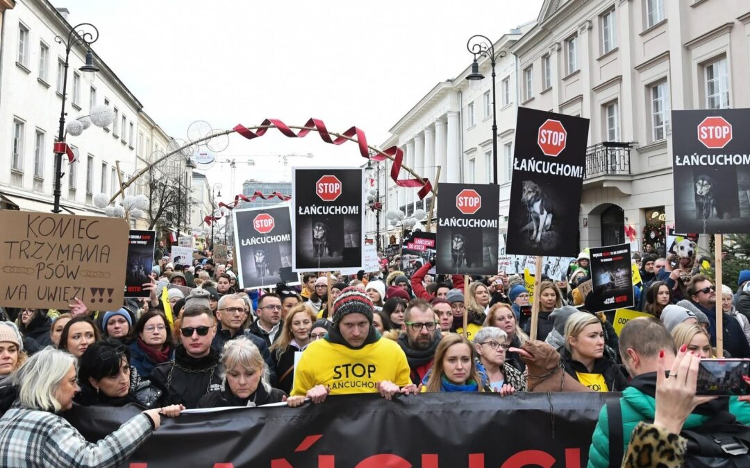 Thousands march in protest against Polish president’s veto of dog-chaining ban