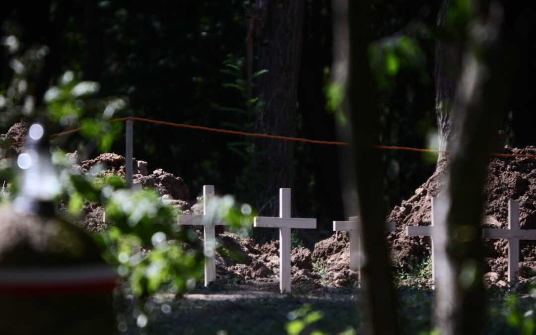 Ukraine authorises further searches for Polish WWII massacre victims