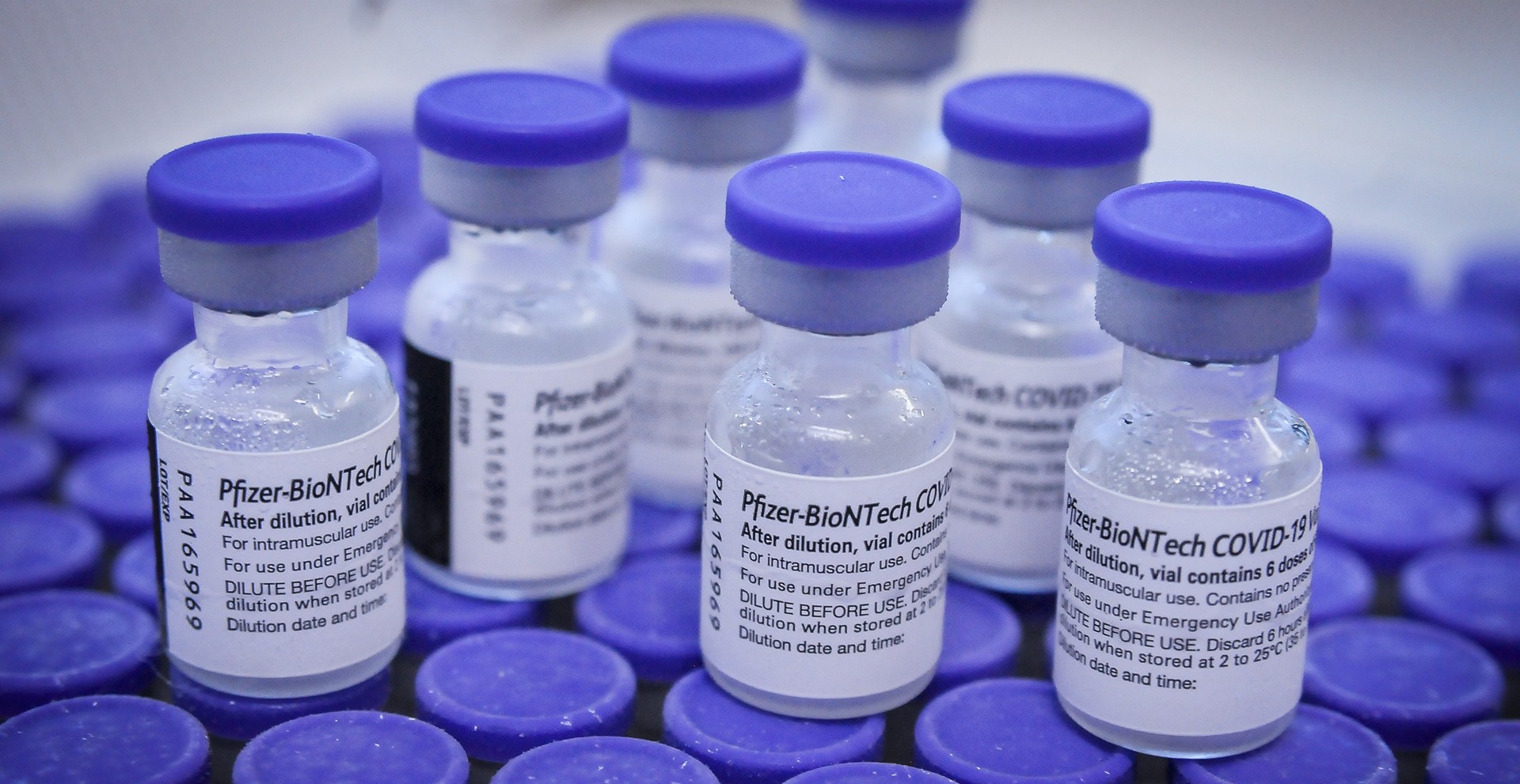 Belgian court orders Poland to pay Pfizer €1.3bn for Covid vaccines