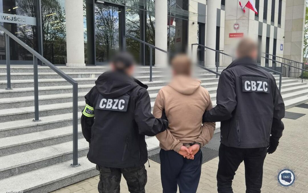 Poland detains 123 people in nationwide operation against child porn