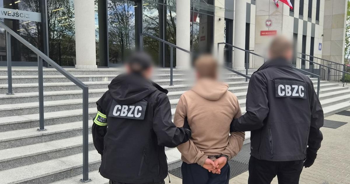Poland detains 123 people in nationwide operation against child porn