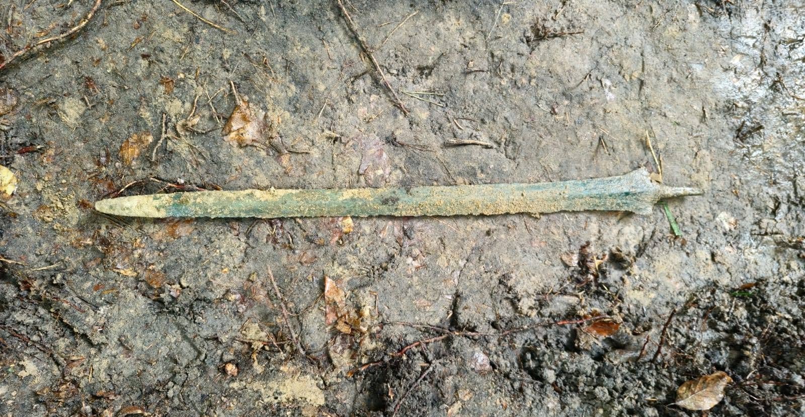 Detectorist finds 2,700-year-old Bronze Age sword in Poland