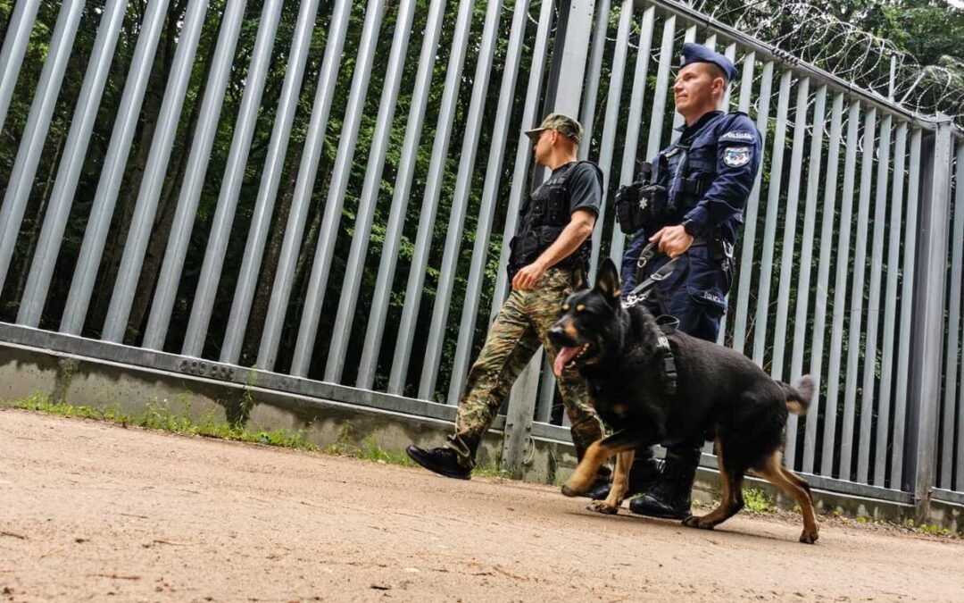 Attempted illegal border crossings from Belarus to Poland down over 98% this year