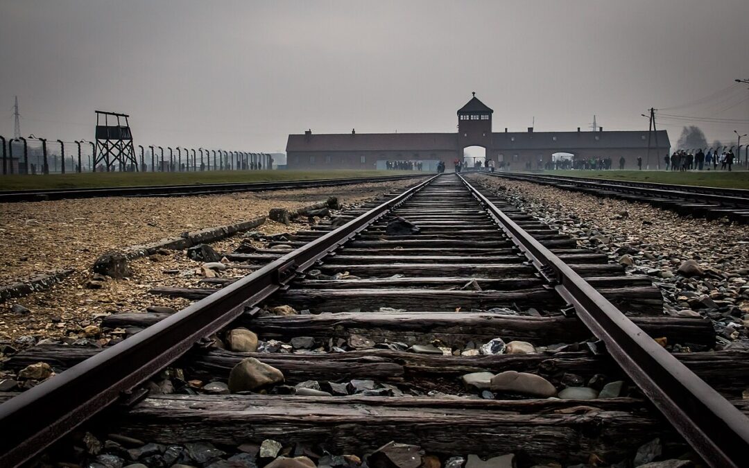 Iranian-born German citizen indicted in Poland for Holocaust denial during Auschwitz tour